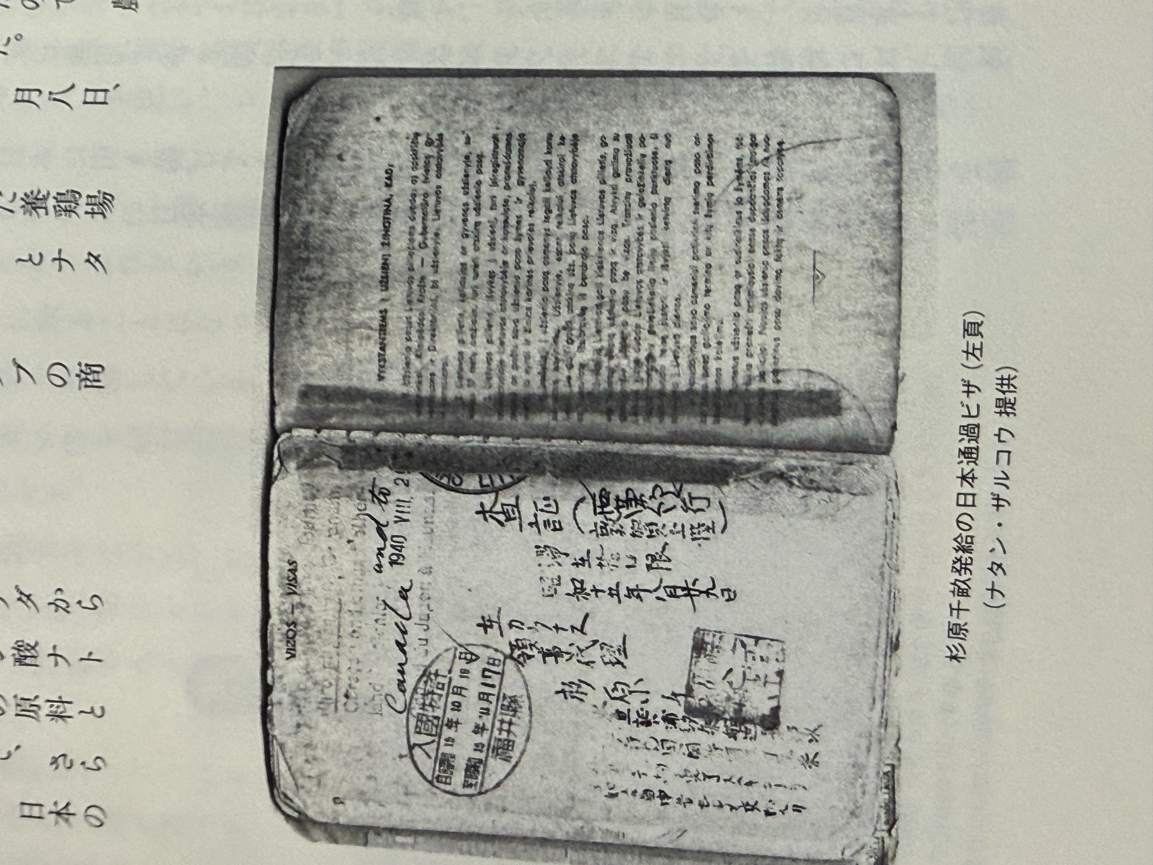 Document — Jakub Zalkow (Zalkovitz)