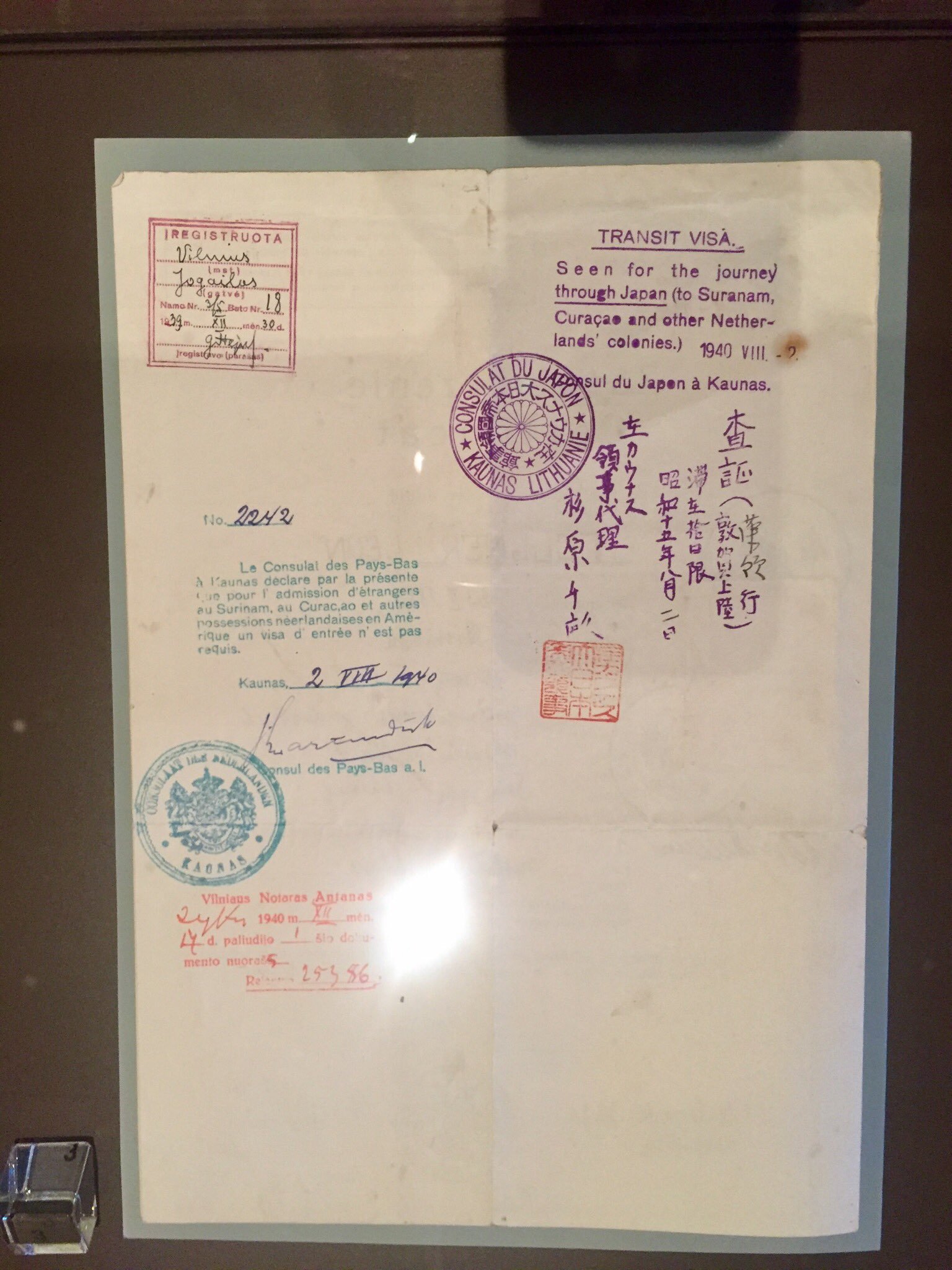 Document — Unidentified document #294