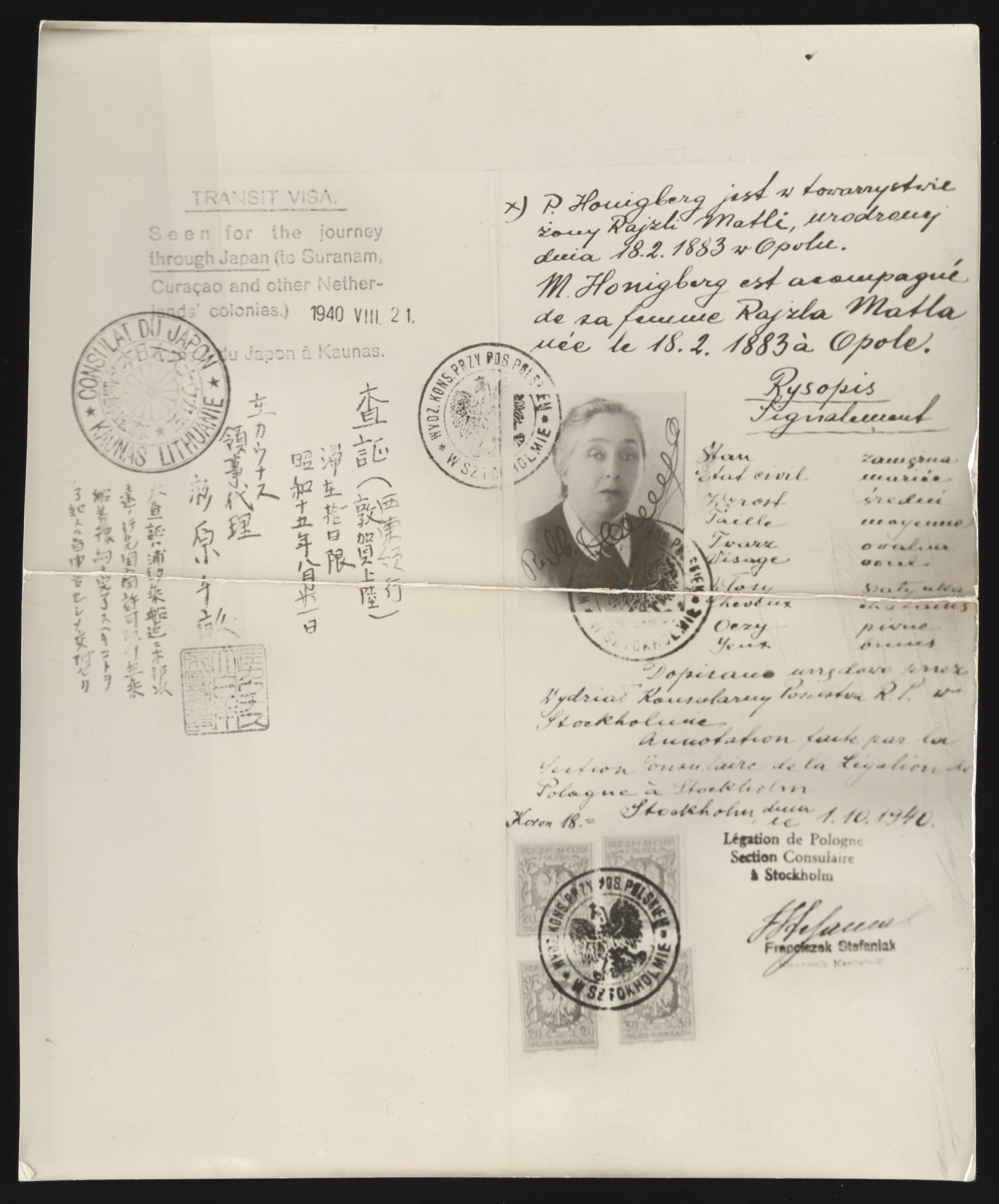 Document — Honigberg Zelik